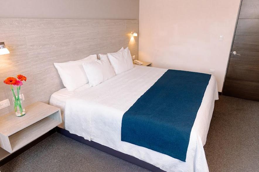 Kasa Hotel & Suites Irapuato Dış mekan fotoğraf
